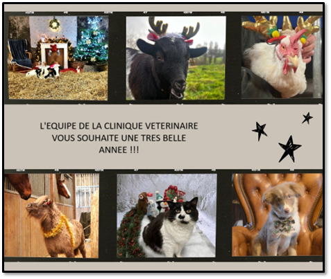 bonne année