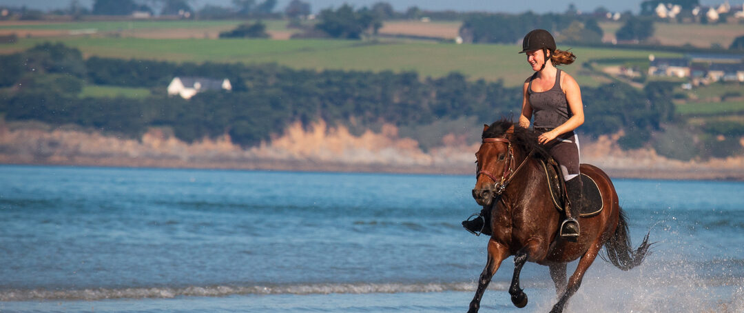 Lettre Equine Aout 2025