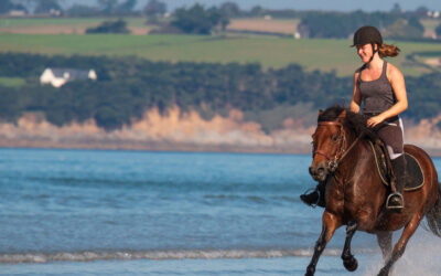 Lettre Equine Aout 2025