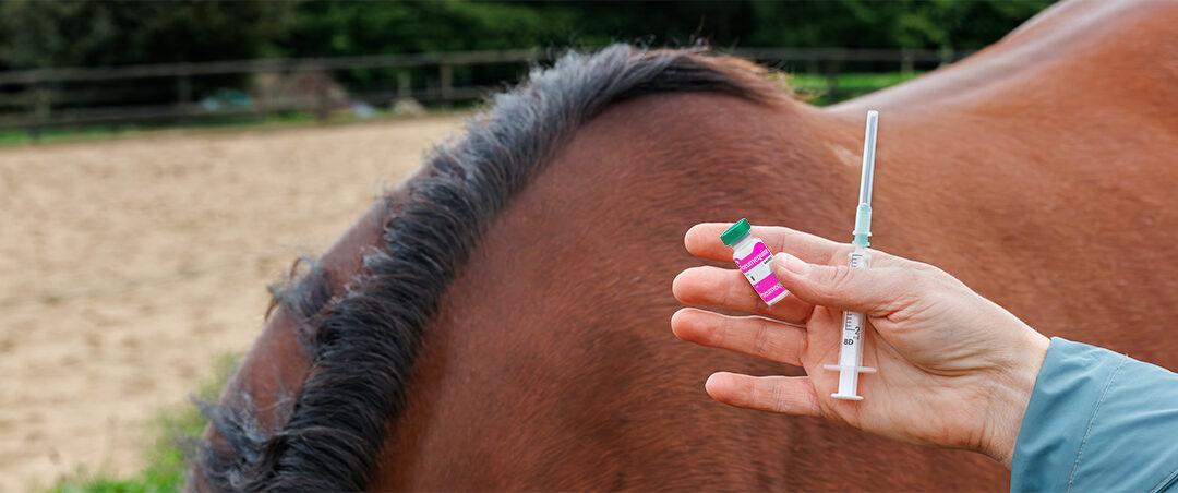 Lettre Equine Octobre 2025