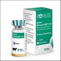 bovilis intranasal